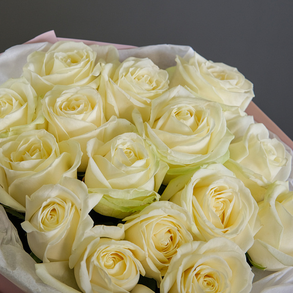 Купить Букет из 15 белых роз 60 см (Россия) в упаковке в  с бесплатной доставкой: цена, фото, описание