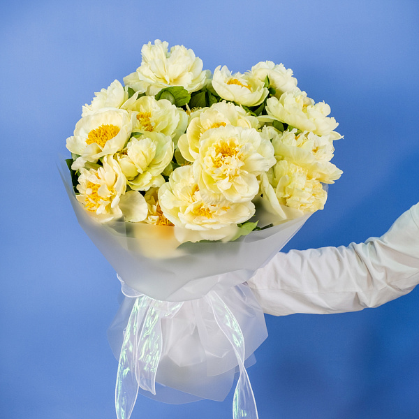 Купить Букет из 25 лимонных пионов (Премиум) в  с бесплатной доставкой: цена, фото, описание