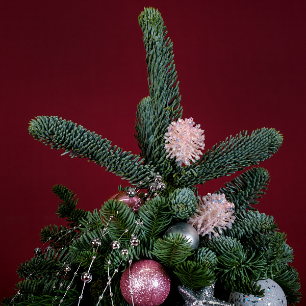 Купить Ёлка «Лесная красавица» в  с бесплатной доставкой: цена, фото, описание