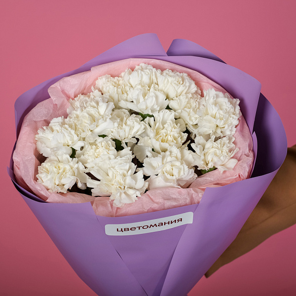 Купить Букет из 17 белых гвоздик в упаковке в  с бесплатной доставкой: цена, фото, описание