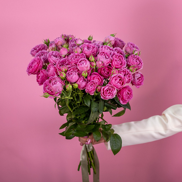 Купить Кустовая роза Мисти Бабблс в  с бесплатной доставкой: цена, фото, описание