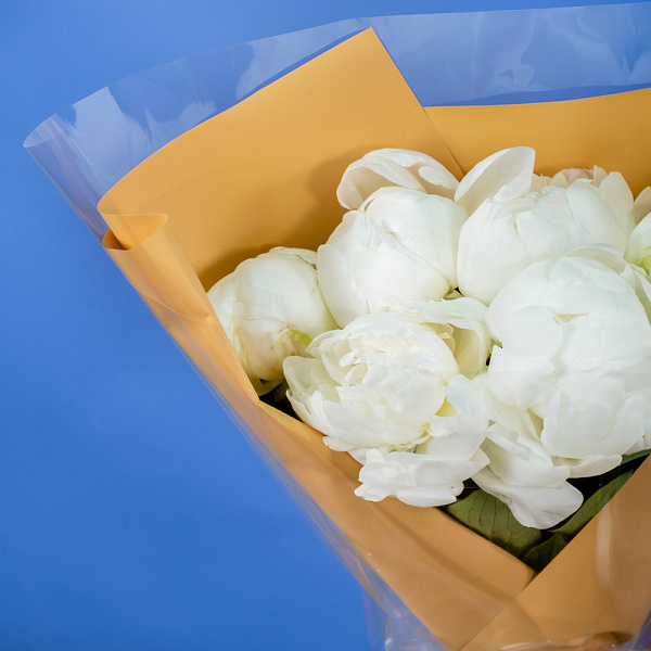 Купить Букет из 6 белых пионов (Премиум) в  с бесплатной доставкой: цена, фото, описание