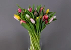 Купить Охапка тюльпанов в  с бесплатной доставкой: цена, фото, описание