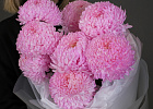Купить Букет из 9 розовых хризантем в  с бесплатной доставкой: цена, фото, описание