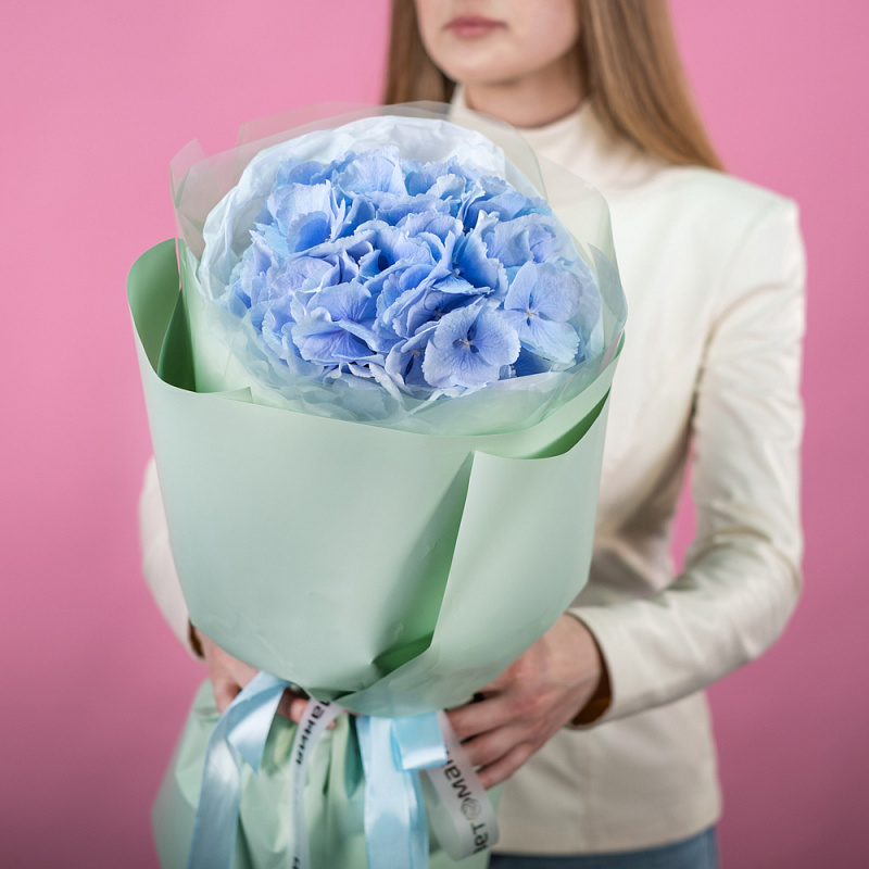 Голубая гортензия в упаковке