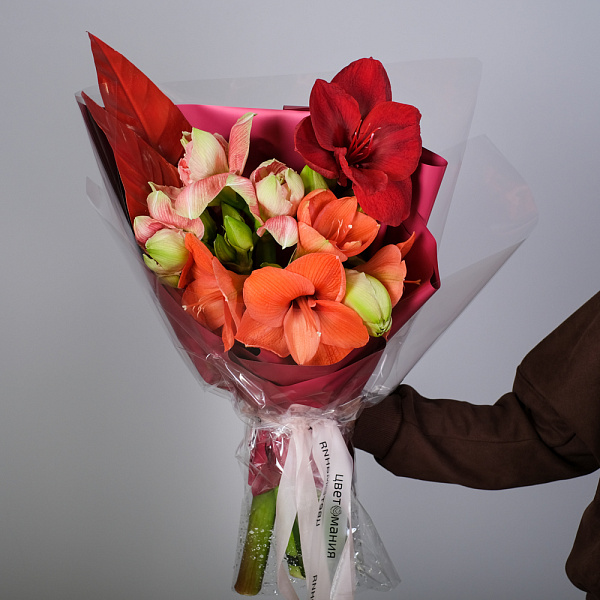 Купить Букет из 5 амариллисов в  с бесплатной доставкой: цена, фото, описание