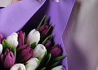 Купить Букет 25 микс белых и фиолетовых тюльпанов в  с бесплатной доставкой: цена, фото, описание