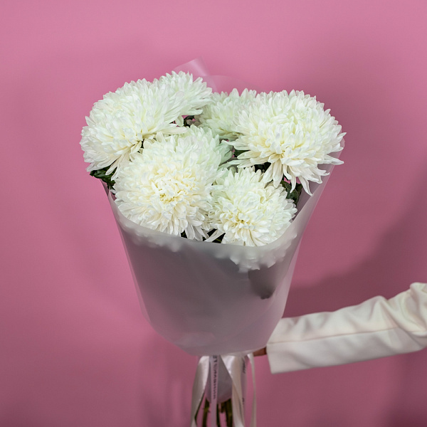 Купить Букет из 7 белых хризантем экстра в  с бесплатной доставкой: цена, фото, описание