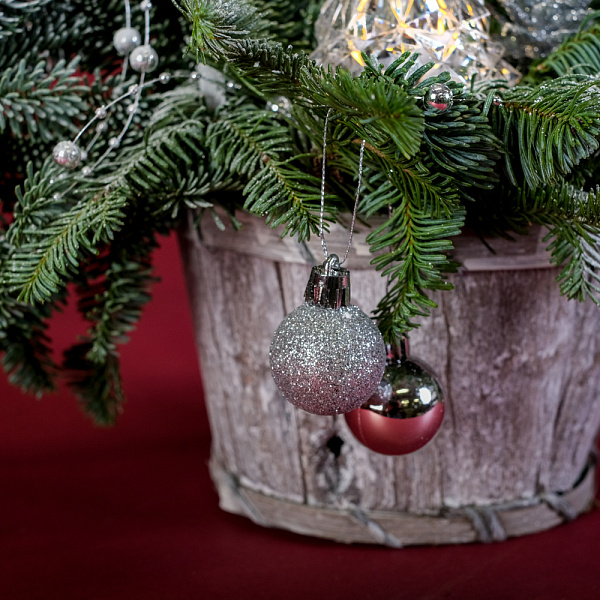 Купить Композиция «Серебряное сияние» в  с бесплатной доставкой: цена, фото, описание