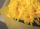 Купить Букет из 25 желтых кустовых хризантем в Санкт-Петербурге с бесплатной доставкой: цена, фото, описание