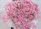 Купить Букет «Розовое облако» в Санкт-Петербурге с бесплатной доставкой: цена, фото, описание