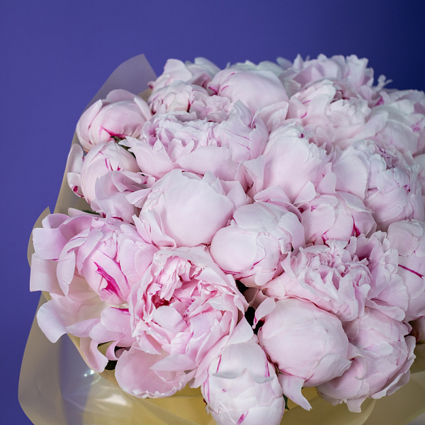 Купить Букет из 25 розовых пионов (Премиум) в  с бесплатной доставкой: цена, фото, описание