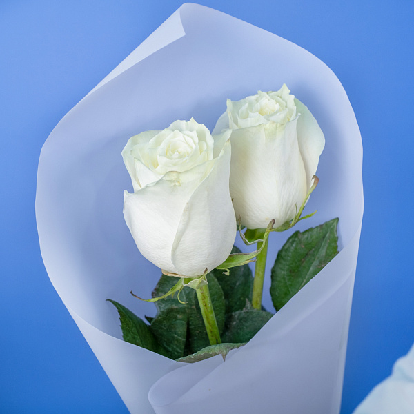 Купить Букет из 2 белых роз 50 см (Эквадор) в  с бесплатной доставкой: цена, фото, описание