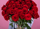 Купить Красная роза (Эквадор) 50 см в  с бесплатной доставкой: цена, фото, описание