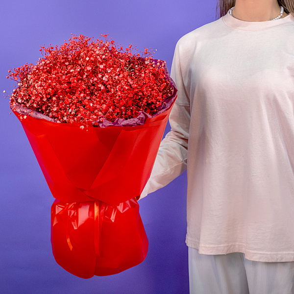 Купить Букет из бордовых гипсофил в  с бесплатной доставкой: цена, фото, описание