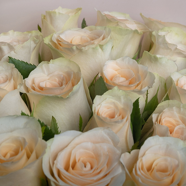 Купить Букет «35 кремовых роз Кения» в  с бесплатной доставкой: цена, фото, описание