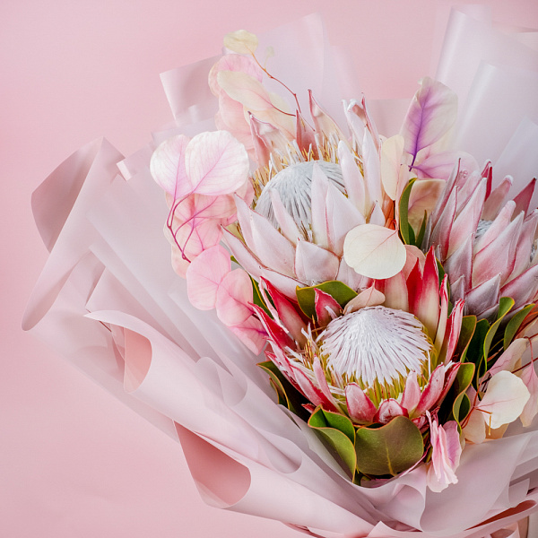 Купить Букет «Королевская протея» в  с бесплатной доставкой: цена, фото, описание