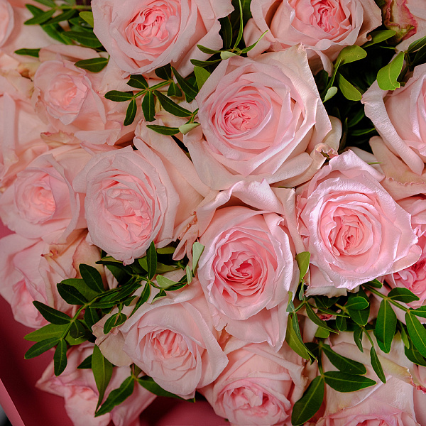 Купить Букет «25 пионовидных розовых роз» в  с бесплатной доставкой: цена, фото, описание