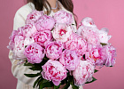 Купить Пионы розовые (Премиум) в  с бесплатной доставкой: цена, фото, описание