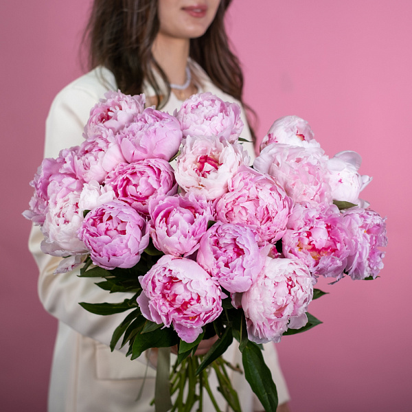 Купить Пионы розовые (Премиум) в  с бесплатной доставкой: цена, фото, описание