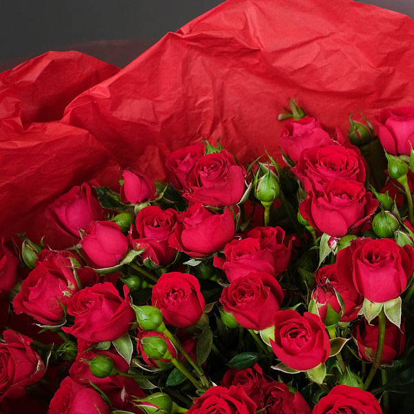 Купить Букет из 9 красных кустовых роз в  с бесплатной доставкой: цена, фото, описание