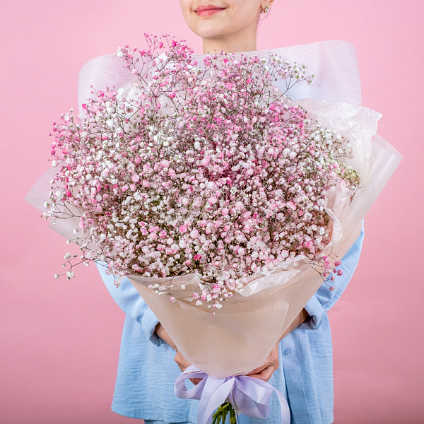 Купить Гипсофилы розово-белые в  с бесплатной доставкой: цена, фото, описание