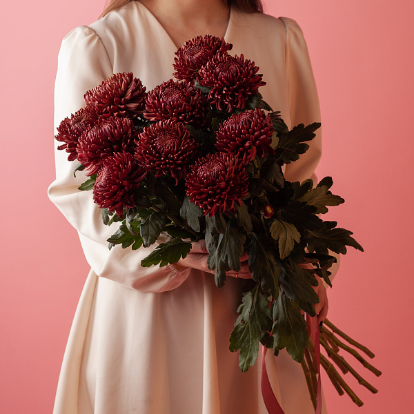 Купить Хризантемы Бигуди Ред поштучно в  с бесплатной доставкой: цена, фото, описание