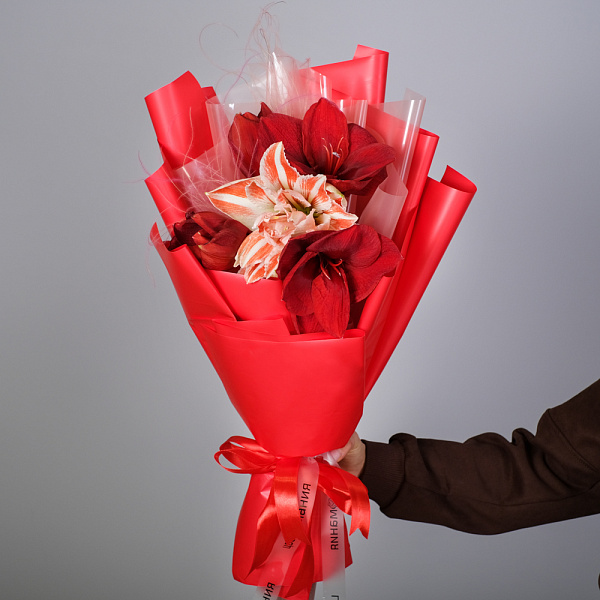 Купить Букет из 3 амариллисов в  с бесплатной доставкой: цена, фото, описание