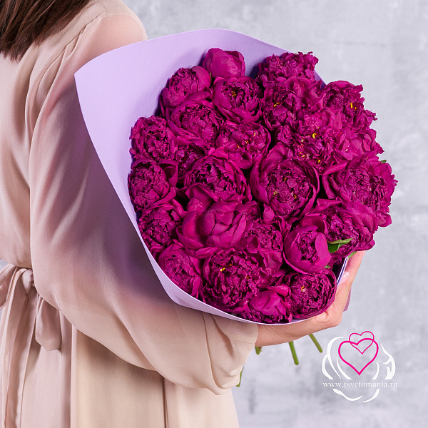 Купить Букет из 25 пионов с фисташкой (Стандарт) в  с бесплатной доставкой: цена, фото, описание