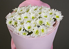 Купить Букет из 9 кустовых хризантем Радость в  с бесплатной доставкой: цена, фото, описание