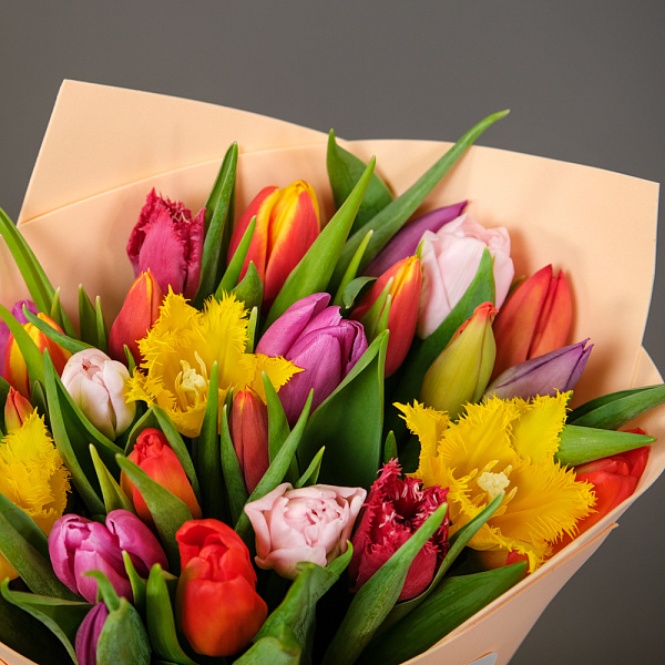 Купить Букет из 25 тюльпанов микс в  с бесплатной доставкой: цена, фото, описание
