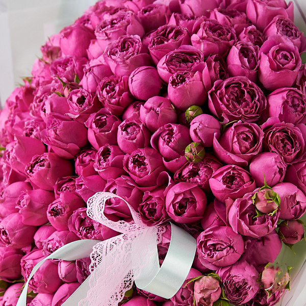 Купить Букет из 51 кустовой розы Мисти бабблс в  с бесплатной доставкой: цена, фото, описание