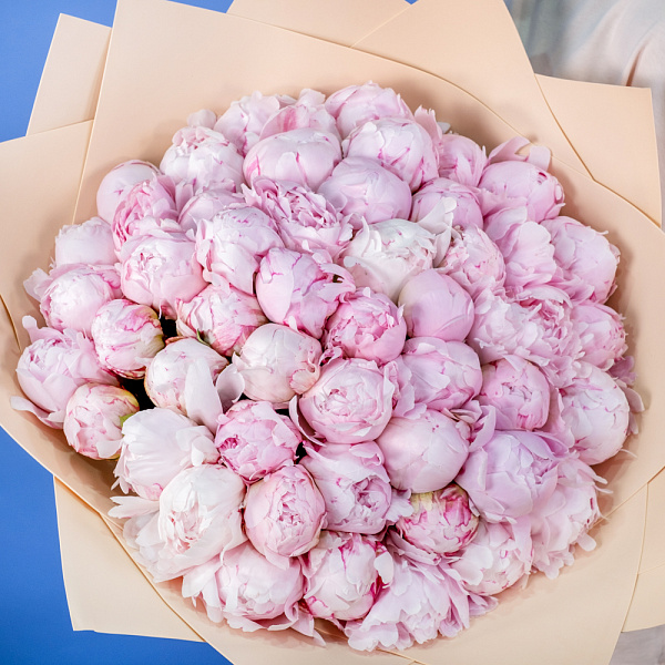 Купить Букет из 50 розовых пионов (Премиум) в  с бесплатной доставкой: цена, фото, описание
