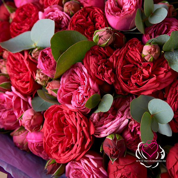 Букет 41 пионовидная роза микс 4 Купить Букет 41 пионовидная роза микс в  с бесплатной доставкой: цена, фото, описание