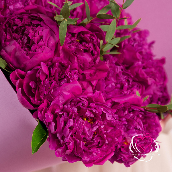 Купить Букет из 15 пионов с эвкалиптом (Стандарт) в  с бесплатной доставкой: цена, фото, описание