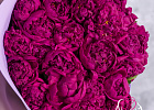Купить Пионы розовые (Стандарт) в Санкт-Петербурге с бесплатной доставкой: цена, фото, описание
