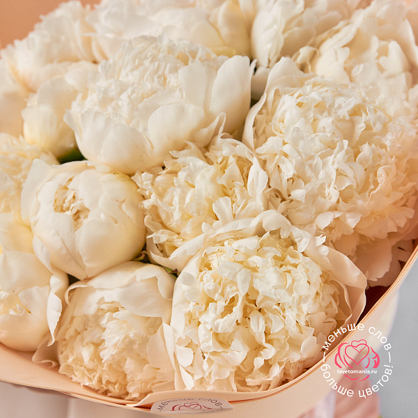Купить Букет из 15 белых пионов (Стандарт) в  с бесплатной доставкой: цена, фото, описание