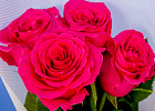 Купить Букет из 4 розовых роз 50 см (Эквадор) в  с бесплатной доставкой: цена, фото, описание