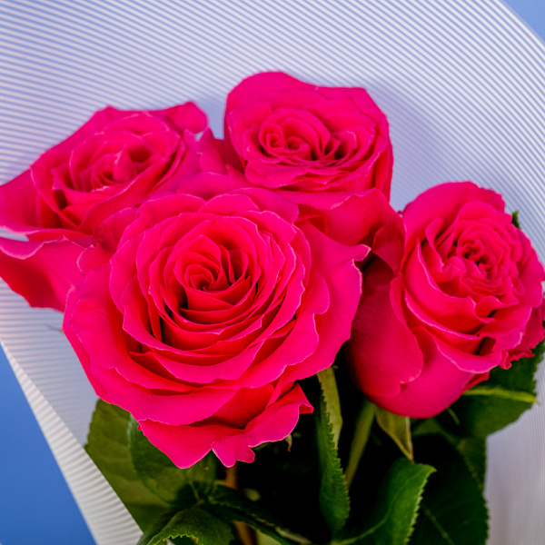 Купить Букет из 4 розовых роз 50 см (Эквадор) в  с бесплатной доставкой: цена, фото, описание