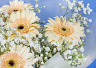 Купить Букет из гербер с гипсофилами в  с бесплатной доставкой: цена, фото, описание