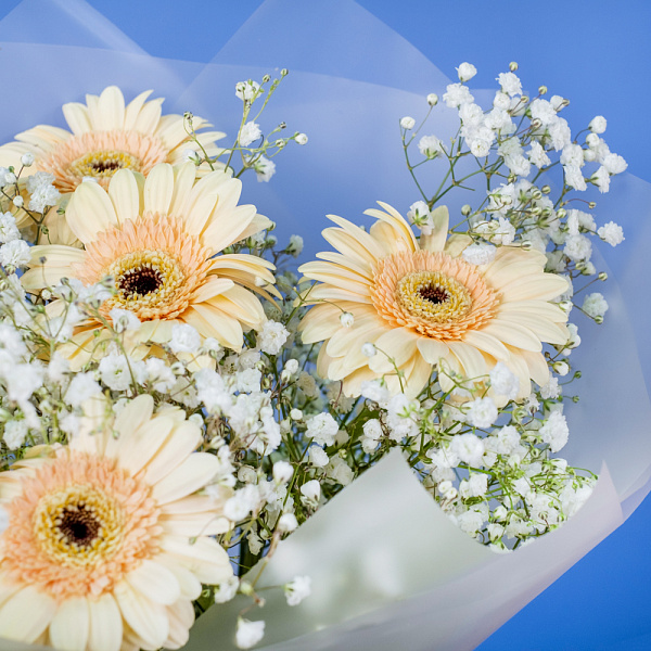 Купить Букет из гербер с гипсофилами в  с бесплатной доставкой: цена, фото, описание