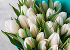 Купить Букет 35 белых тюльпанов в Санкт-Петербурге с бесплатной доставкой: цена, фото, описание