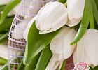 Купить Букет 9 белых тюльпанов в сетке в Санкт-Петербурге с бесплатной доставкой: цена, фото, описание