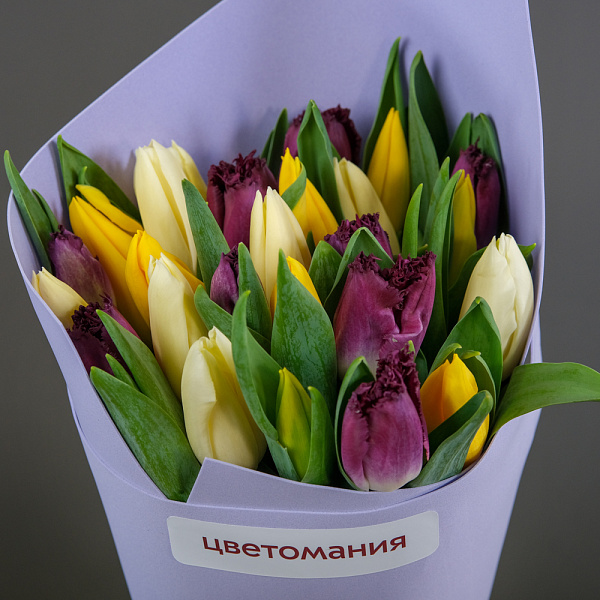 Купить Букет из 25 тюльпанов микс в  с бесплатной доставкой: цена, фото, описание