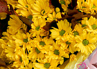 Купить Букет из 9 жёлтых хризантем с кверкусом в Санкт-Петербурге с бесплатной доставкой: цена, фото, описание