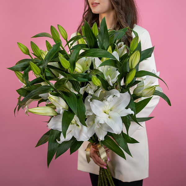 Купить Лилия Евро в  с бесплатной доставкой: цена, фото, описание