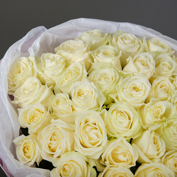 Купить Букет из 35 белых роз 60 см (Россия) в упаковке в  с бесплатной доставкой: цена, фото, описание
