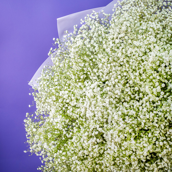 Купить Букет из 101 гипсофилы в  с бесплатной доставкой: цена, фото, описание