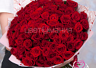 Купить Букет из 101 красной розы 60 см (Россия) в Санкт-Петербурге с бесплатной доставкой: цена, фото, описание