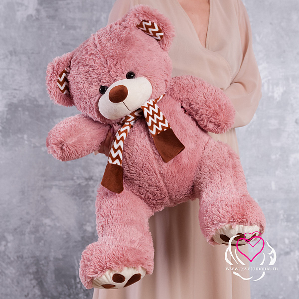 Купить Медведь Макс розовый 80 см в Санкт-Петербурге с бесплатной доставкой: цена, фото, описание